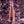 Champagne Carbon Brut Rosé VOLLCARBON