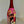 Art-Edition Nani Rizzi Brut Asian Pink Flower